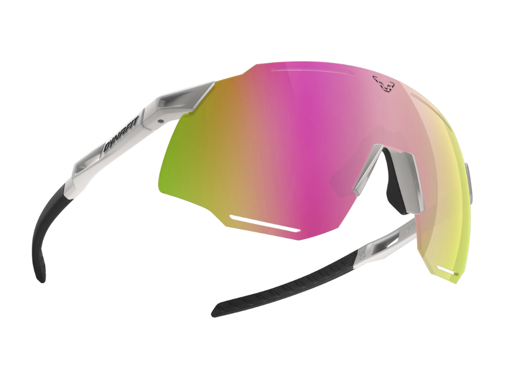 Dynafit Alpine Pro Sunglasses Unisex nimbus/black out cat. 1-3