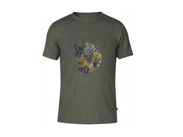 Fjällräven Rock Logo T-Shirt mountain grey